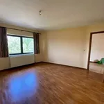 Rent 2 bedroom apartment in Welkenraedt