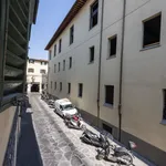 Rent 1 bedroom apartment of 50 m² in Florence