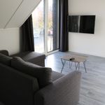 Rent 1 bedroom apartment of 452 m² in Amsterdam