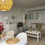 Alquilo 3 dormitorio apartamento de 70 m² en VACACIONAL