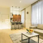 Rent 1 bedroom apartment of 45 m² in Zagreb