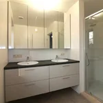 Rent 1 bedroom apartment in Zichem