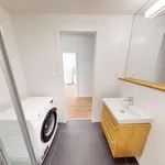 Pronajměte si 2 ložnic/e byt o rozloze 54 m² v Prague