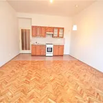 Pronajměte si 1 ložnic/e byt o rozloze 32 m² v Prague