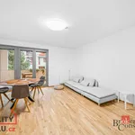 Rent 2 bedroom apartment in Beroun