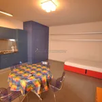 Rent 1 bedroom apartment of 45 m² in Alba