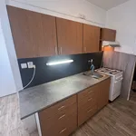 Rent 3 bedroom apartment in Plzeň