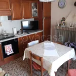 Rent 4 bedroom house of 100 m² in Pizzoferrato