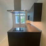 Rent 1 bedroom apartment in Ixelles