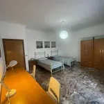 Appartamento arredato con terrazzo Centro