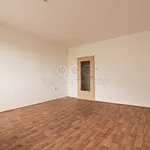 Pronájem bytu 3+1 75m²