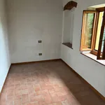 Rent 1 bedroom apartment of 60 m² in Firenze