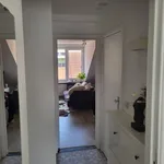 Rent 1 bedroom apartment in Leuven