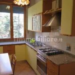 Rent 4 bedroom apartment of 90 m² in Bologna