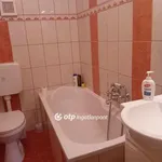 Rent 1 bedroom house of 25 m² in Debrecen