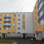 Rent 2 bedroom apartment of 53 m² in Chemnitz