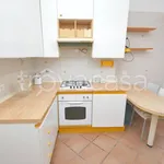 Rent 4 bedroom apartment of 120 m² in Roma