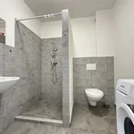 Rent 1 bedroom apartment in Prague