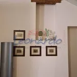 Rent 1 bedroom apartment of 45 m² in Piacenza