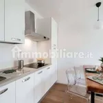 Rent 2 bedroom apartment of 45 m² in Como