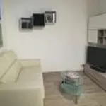 Rent 2 bedroom apartment of 60 m² in Rome