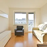 Rent 3 bedroom apartment in Brno