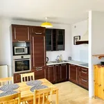 Rent 1 bedroom apartment of 33 m² in Poznan