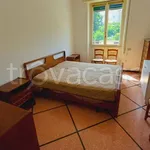 Rent 3 bedroom apartment of 80 m² in Rapallo