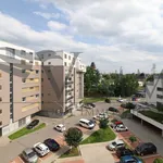 Rent 1 bedroom apartment of 35 m² in České Budějovice