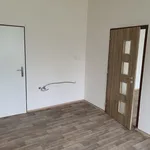 Rent 1 bedroom apartment in Louny