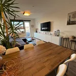 Rent 2 bedroom apartment of 60 m² in Erfurt