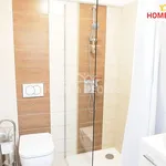 Rent 1 bedroom apartment in Brno