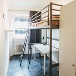 Rent 1 bedroom apartment of 11 m² in Dortmund