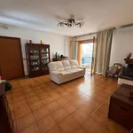 Rent 5 bedroom apartment of 130 m² in Massa