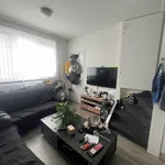 Kamer van 24 m² in Veerallee