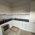 Rent 1 bedroom apartment of 45 m² in milan