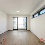 Rent 1 bedroom apartment in Pilsen