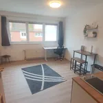 Rent 1 bedroom apartment of 30 m² in Jena