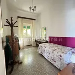 Affitto 5 camera casa di 150 m² in Pietrasanta