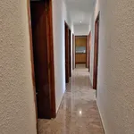 Rent 4 bedroom apartment in Valencia