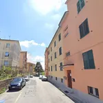 Rent 2 bedroom apartment of 55 m² in Cupramontana