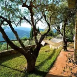 Rent 5 bedroom house of 250 m² in Monte Argentario