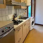 Rent 3 bedroom apartment of 100 m² in Padua