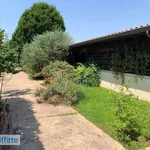 Rent 2 bedroom house of 50 m² in Rome