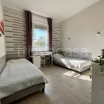 Rent 2 bedroom apartment of 40 m² in Padova