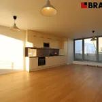 Rent 3 bedroom apartment of 113 m² in Brno