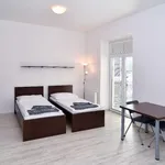 Rent 1 bedroom apartment of 37 m² in Brno