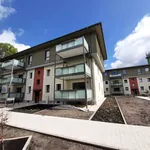 Rent 4 bedroom apartment of 91 m² in Dortmund