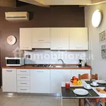 Rent 1 bedroom apartment of 30 m² in Turin