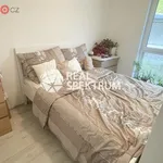 Rent 1 bedroom apartment of 36 m² in Brno